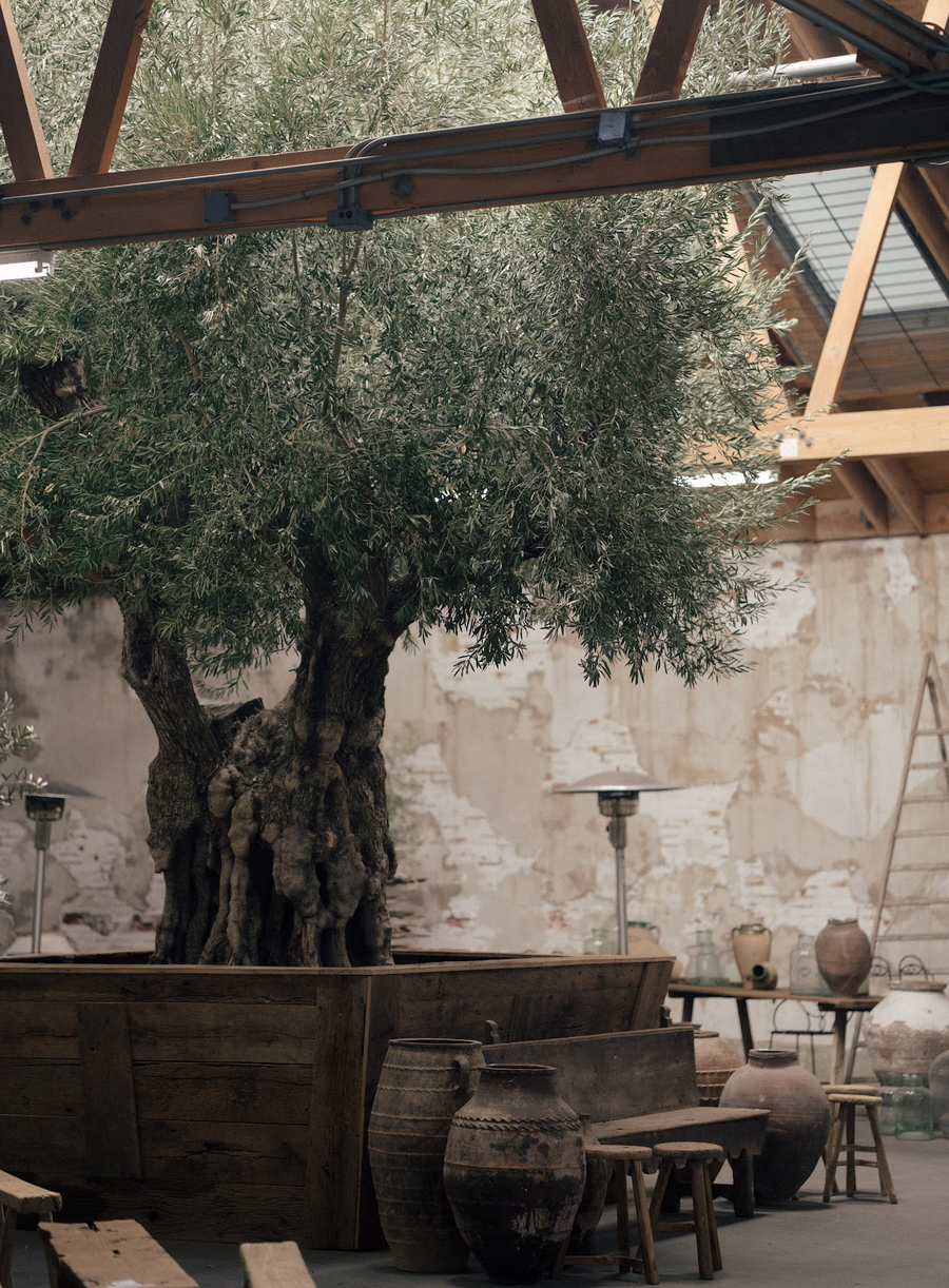 Exploring the History of Terracotta Clay Pots