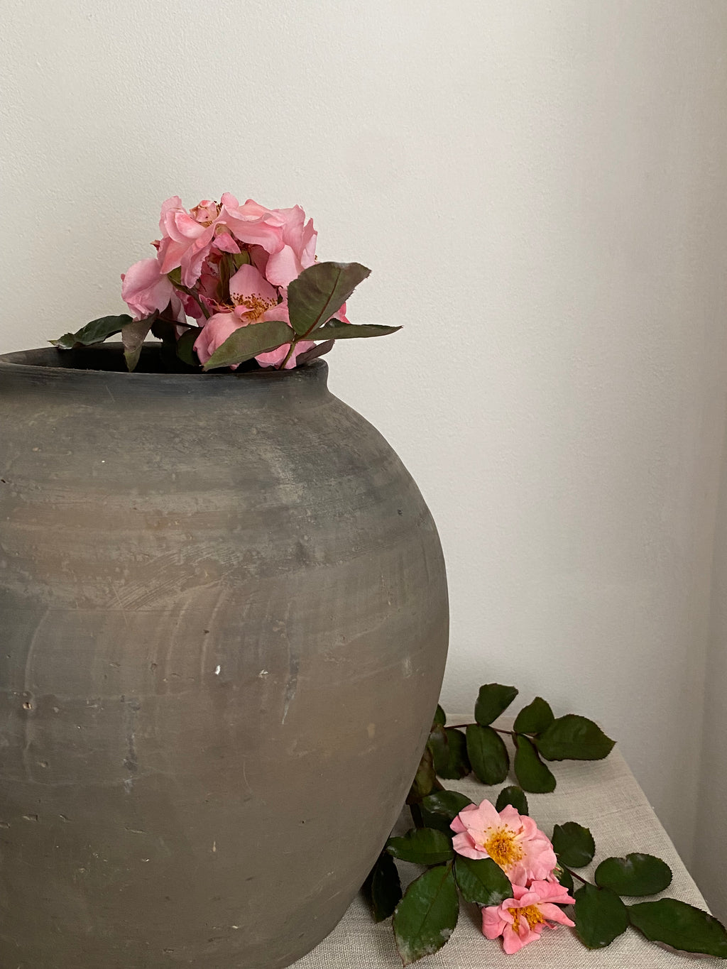 Eira Antique Terracotta Clay Pot
