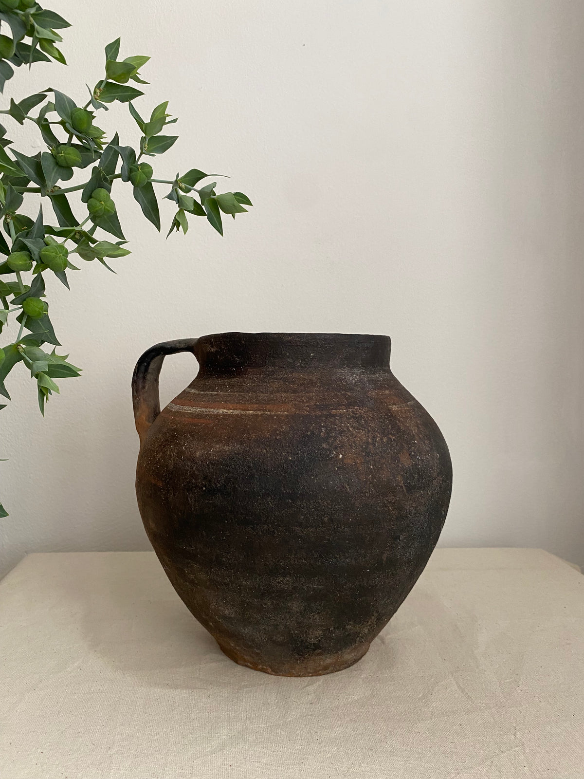 A rusti brown antiqclay pot with a single loop handle, mounted on a textured off-white wall next to a green leafy plant.e 