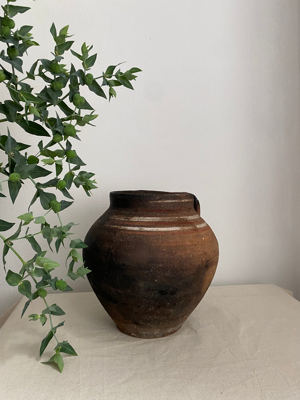 Brown rustic antique clay pot mounted on a textured off-white wall, with green leafy vines in the foreground.