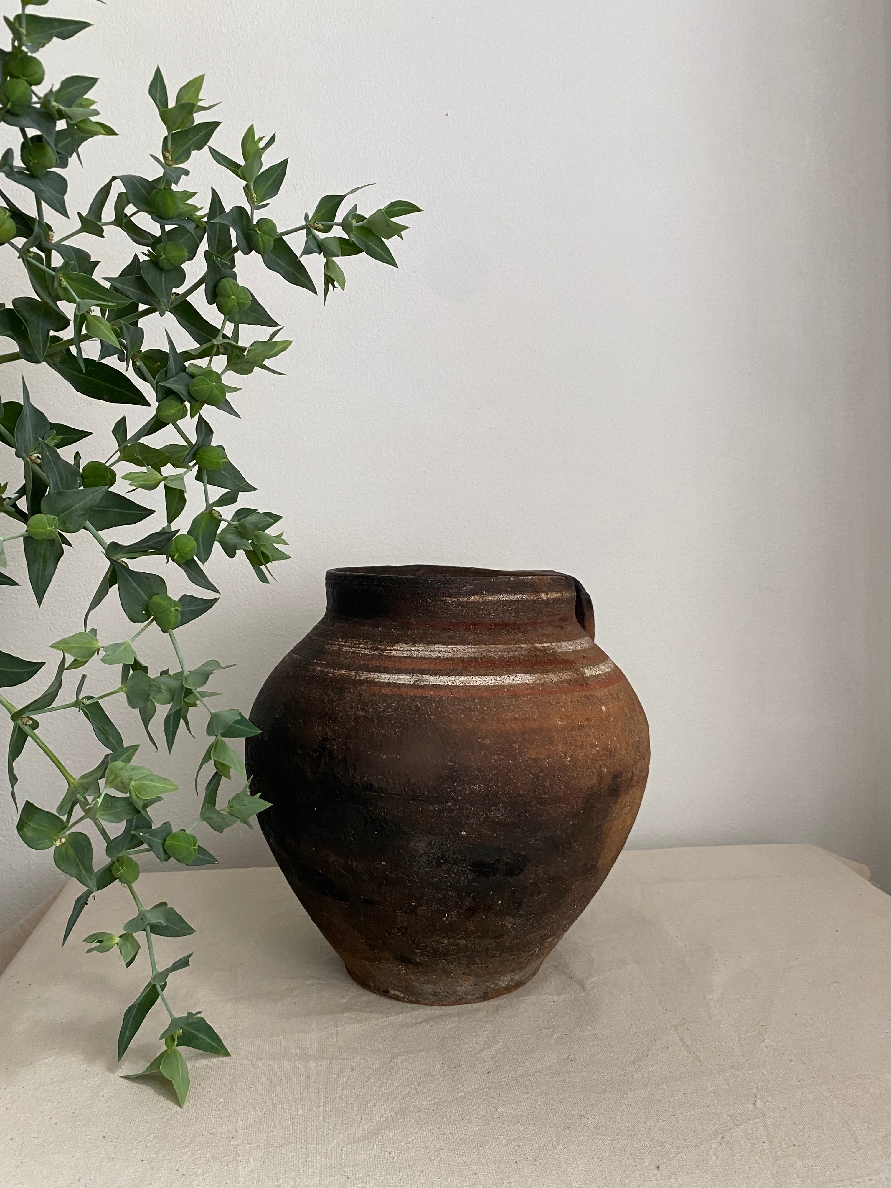 Brown rustic antique clay pot mounted on a textured off-white wall, with green leafy vines in the foreground.