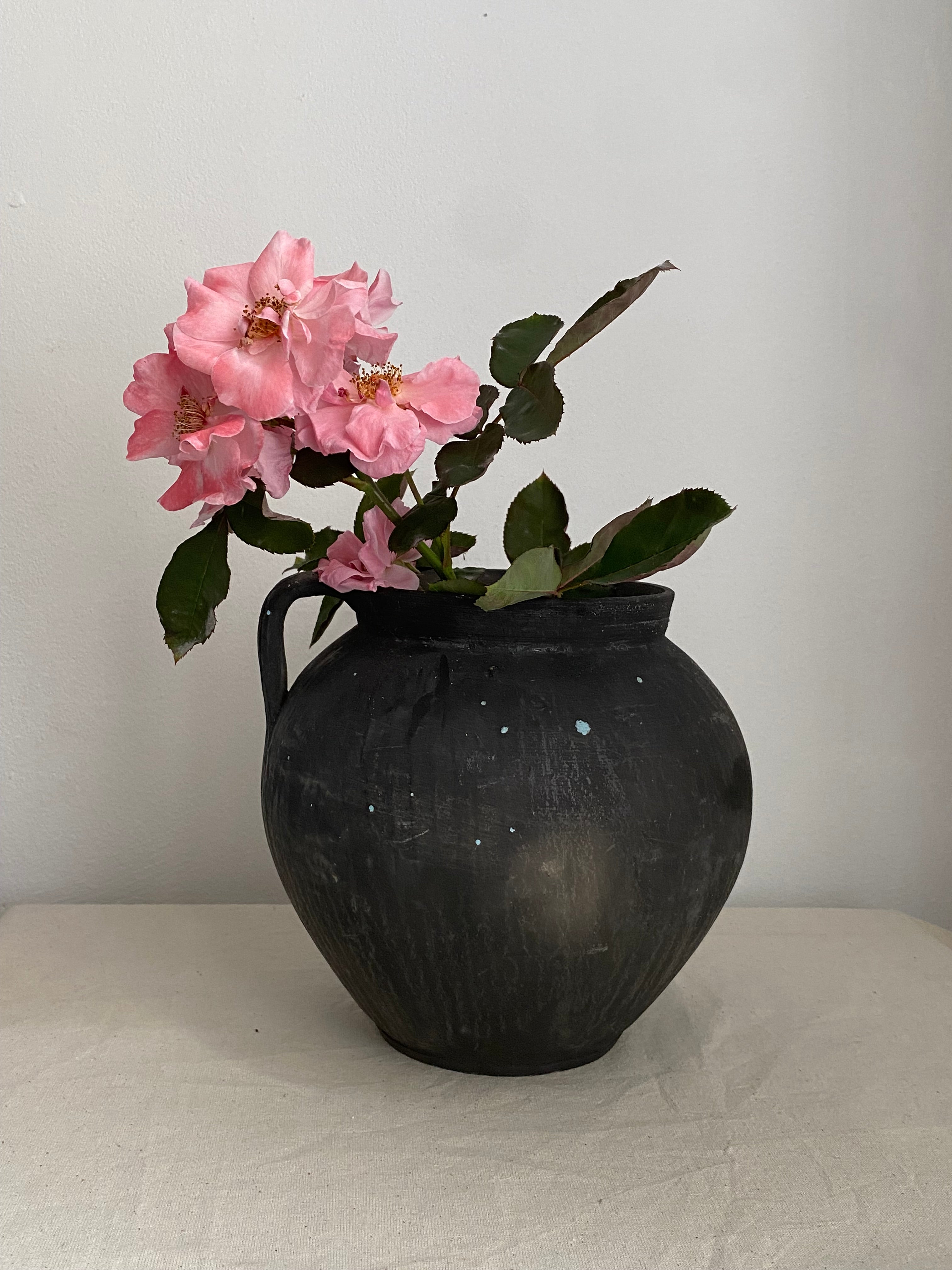 A black antique clay pot with a handle, holding a pink rose stem with green leaves, set against a plain off-white background.